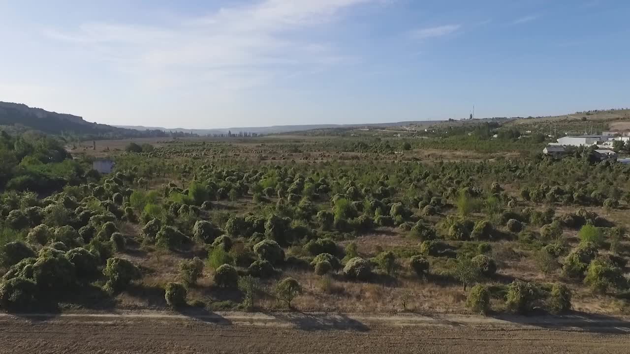 나무 와 관목 이 있는 시골 풍경 의 공중 사진