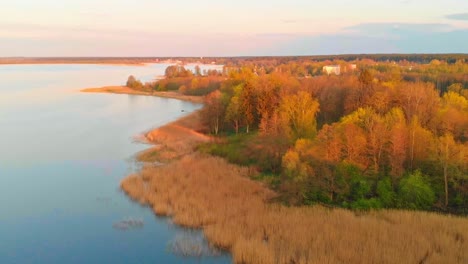 wonderful aerial view of fall autumn orange forest by lake jugla in riga