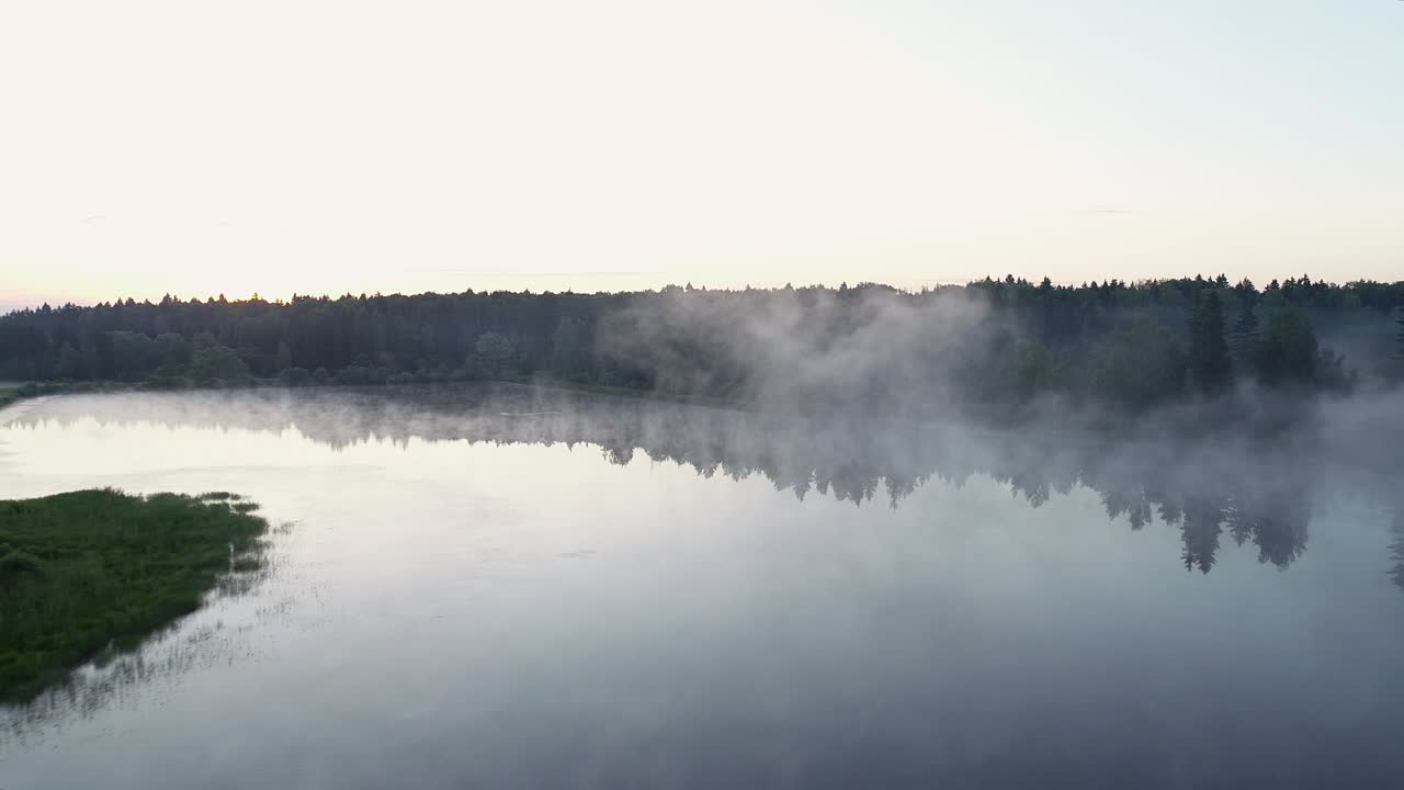 아침 안개에 있는 숲의 호수, 새벽의 빛에