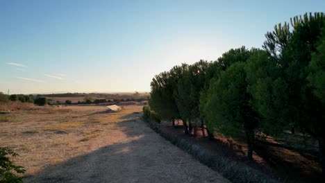 steady 4k shot of a field fence in alentejo at sunset, portugal.