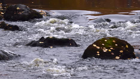 stativaufnahme einiger felsen in einem fluss mit abgefallenen blättern darauf