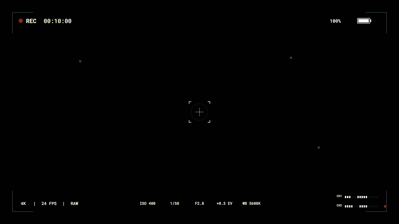 Digital Camera Recording Interface Overlay