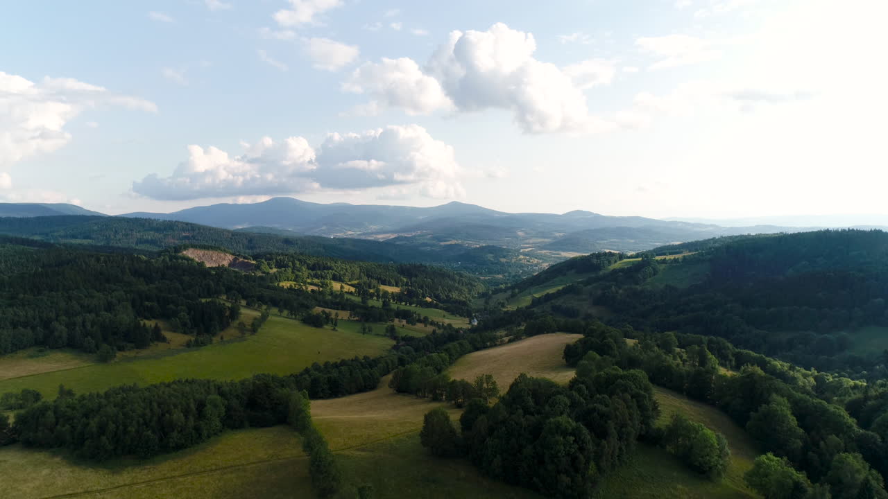 Vista aerea di una bellissima foresta verde in un paesaggio rurale 2