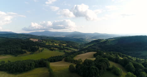 Antena-De-Hermoso-Bosque-Verde-En-Un-Paisaje-Rural-2