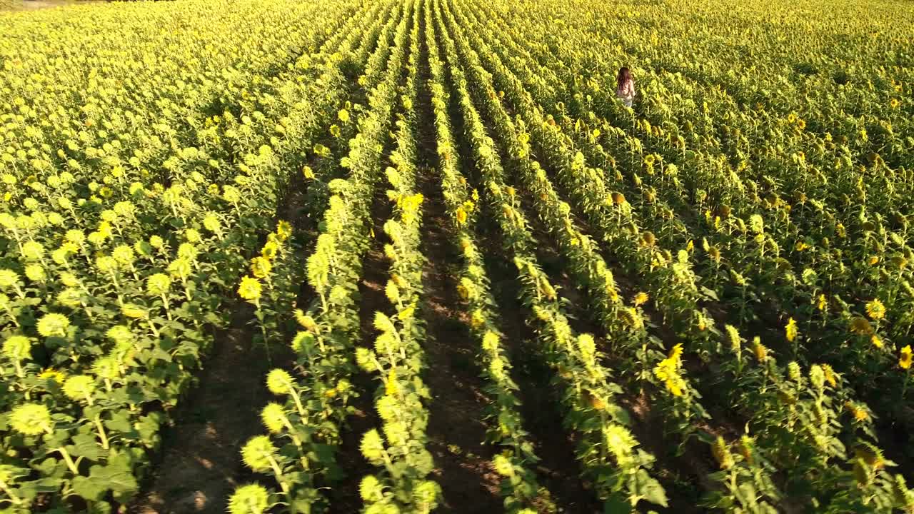 joven feliz girando entre los girasoles