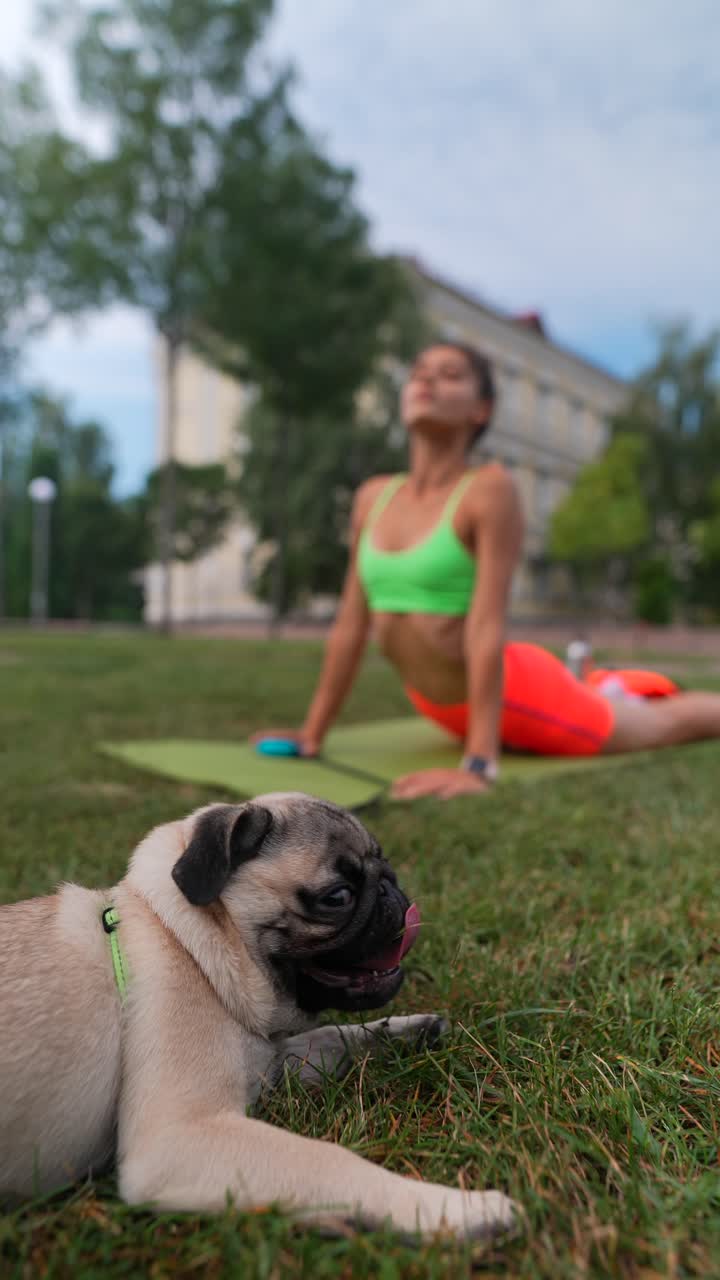 mujer haciendo yoga en el parque con perro pug