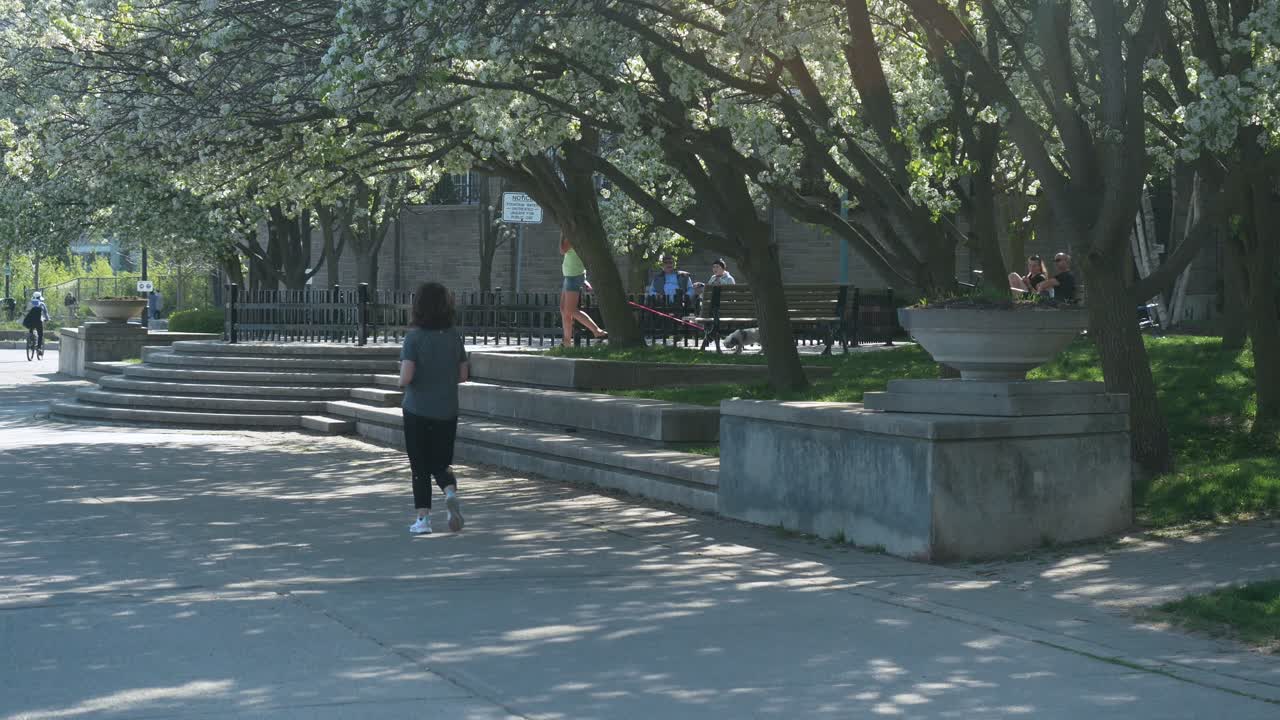 canada lake ontario summer water lakeshore toronto etobicoke water humber