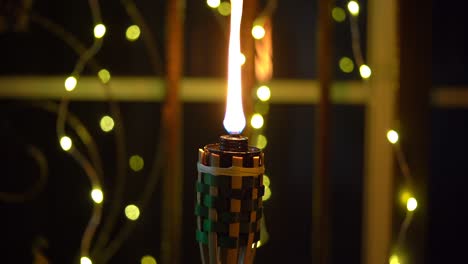 aceite de bambú o pelita