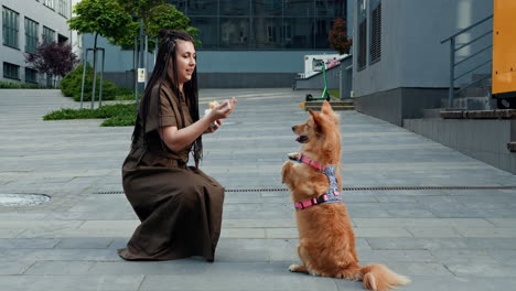mujer alimentando a un perro en la ciudad