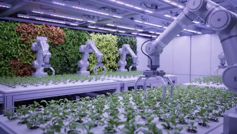 automated indoor agriculture: robotic systems enhancing plant growth in a controlled environment with advanced lighting and hydroponic systems