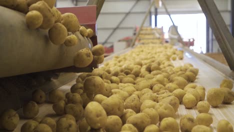 patatas rodando en cámara lenta.