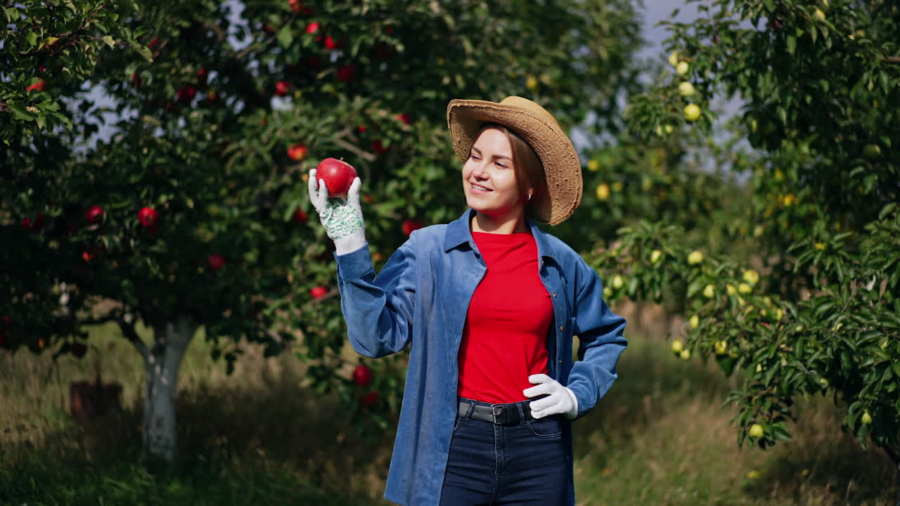 Sunny bright day on the harvest season in apple garden. Happy smiling lady farmer holding an apple, looking at it and smelling it.