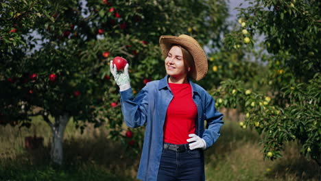 sunny bright day on the harvest season in apple garden. happy smiling lady farmer holding an apple, looking at it and smelling it.
