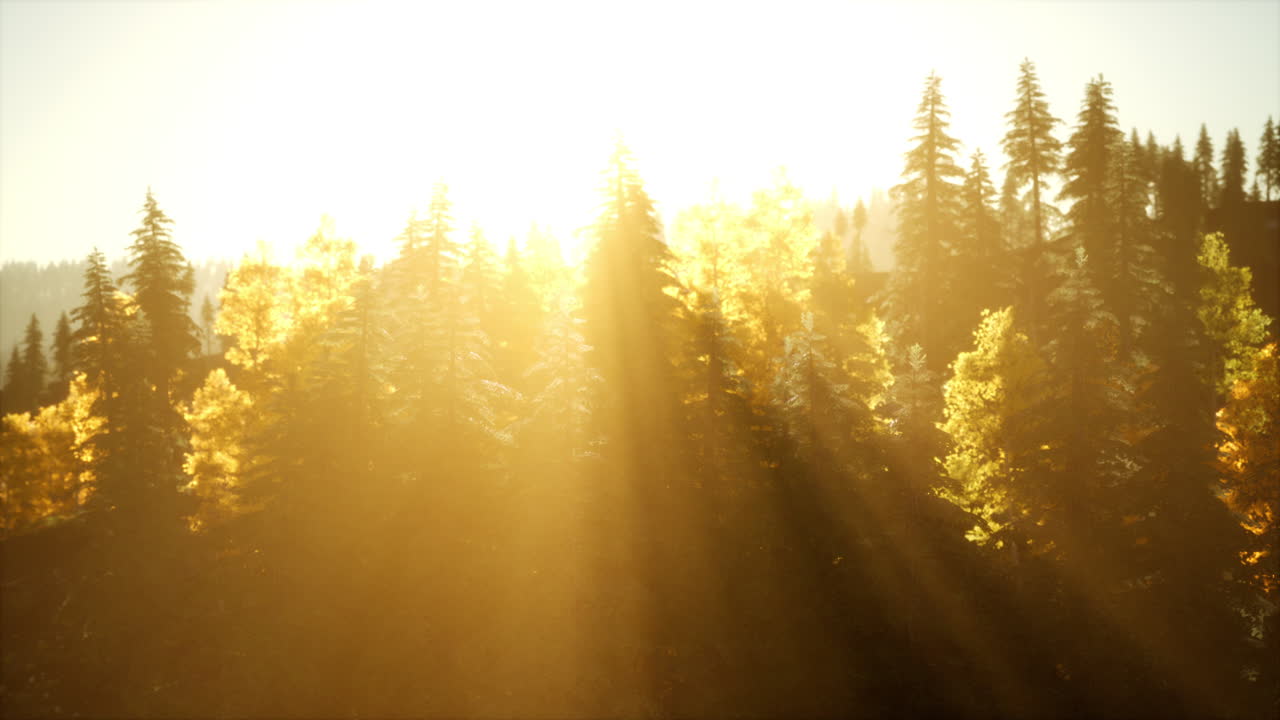 paisaje de otoño con bosque amarillo de montaña