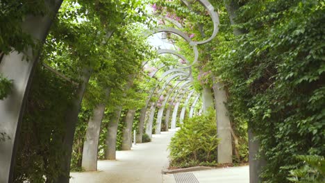 focus pull revealing part of the grand arbour archway in south bank, brisbane