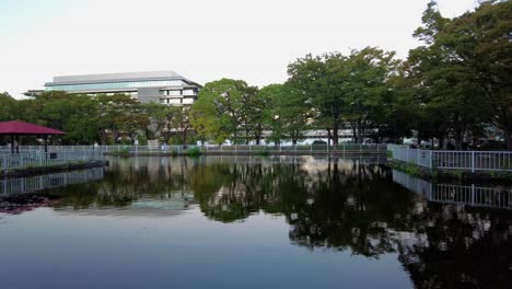 the beautiful park in tokyo