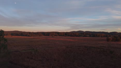 golden sunrise over rural field with gum trees and misty low hills in new south wales, aerial establishing dolly, natural backdrop background