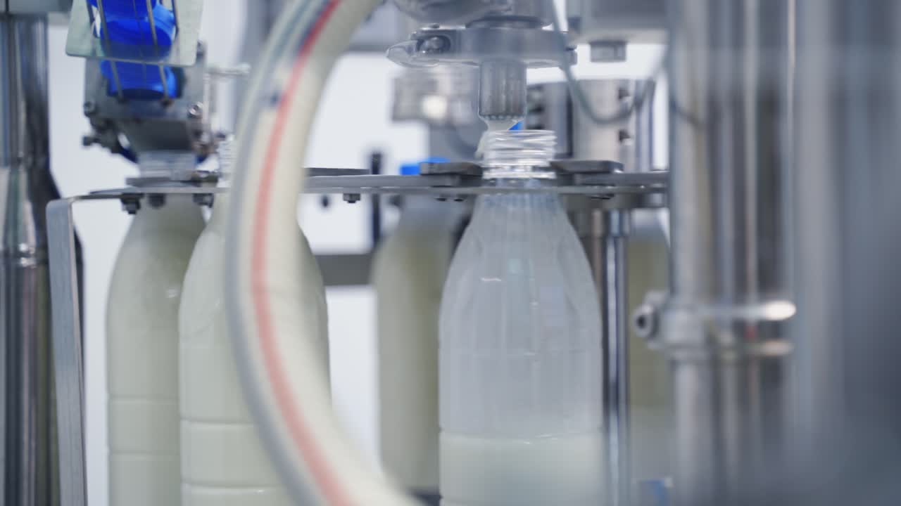 Conveyor line for pouring dairy products into plastic bottles at milk factory. Plastic bottles go around conveyor belt and filling with milk. Slow motion.