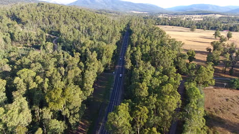 Fliegen-über-Landstraße-Mit-Vorbeifahrendem-Auto