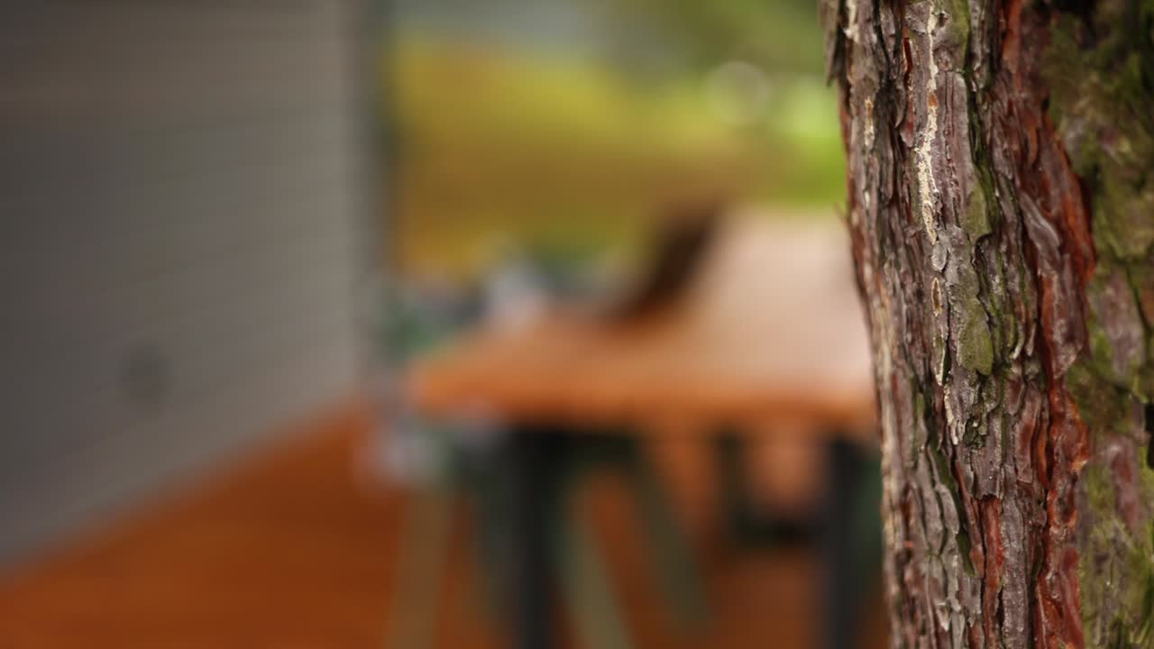 comedor de patio al aire libre con computadora portátil