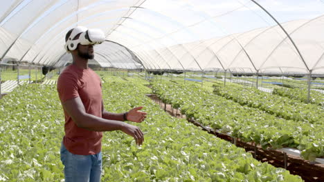using vr headset, african american man exploring hydroponic farm with lush green plants
