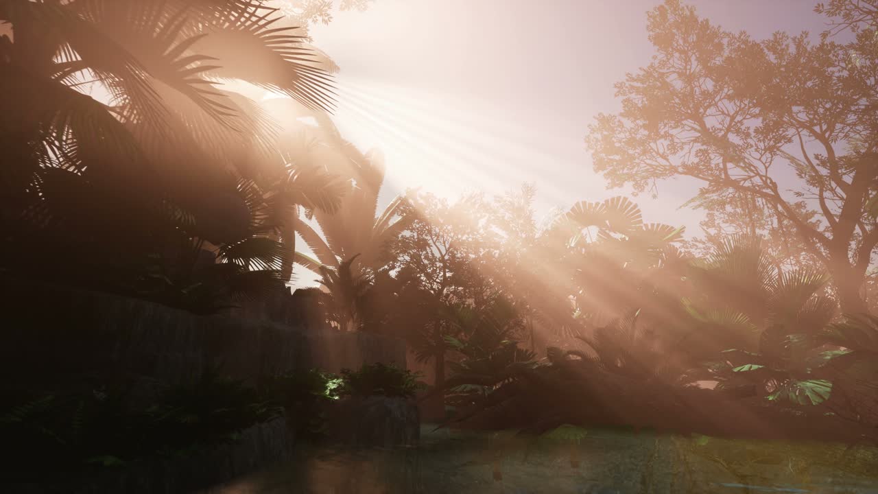 los rayos del atardecer a través de las palmeras