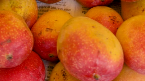 fresh organic testy mangoes from farm close up from different angle