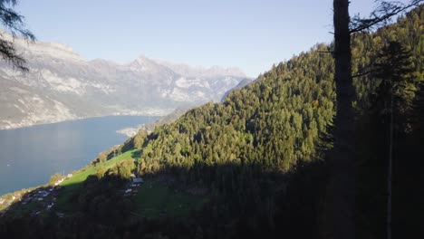 Camera-moves-through-trees-to-reveal-a-beautiful-mountain-and-forest-panorama