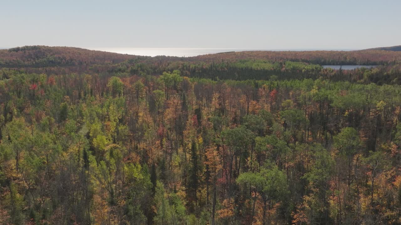 Aerial View of Dense Forest with Fall Colors and Road in Lutsen Minnesota