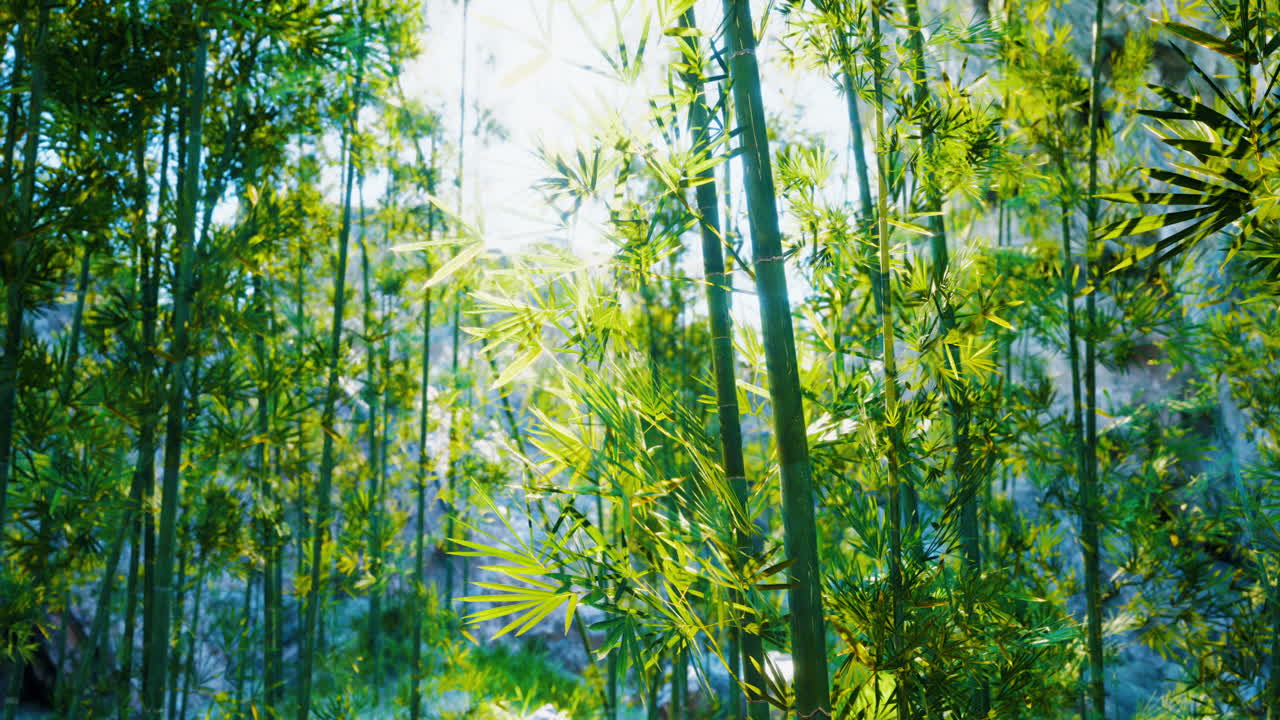 el bosque de bambú verde y exuberante