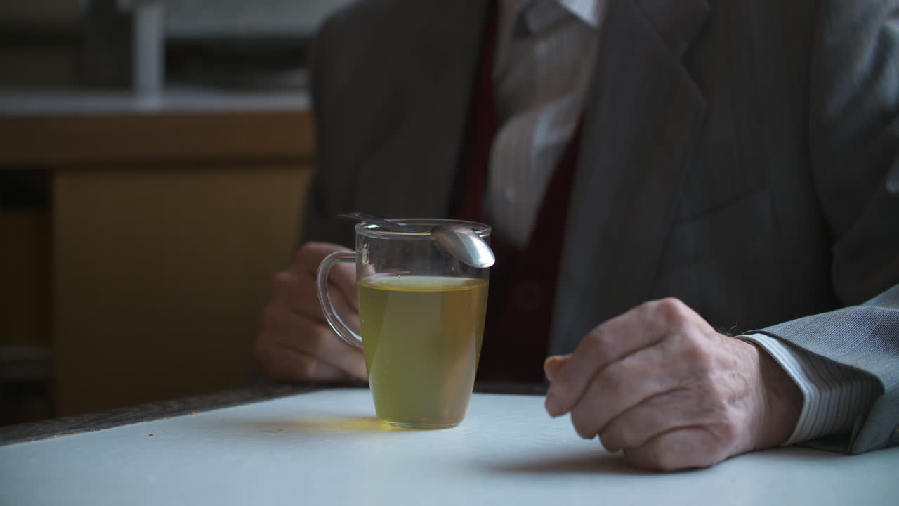 은퇴한 노인의 초상 7