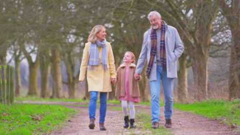 Abuelos-Balanceando-A-Su-Nieta-Afuera-Caminando-Por-El-Campo-Invernal-Tomados-De-La-Mano