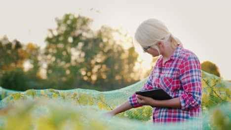 vineyard owner  using tablet