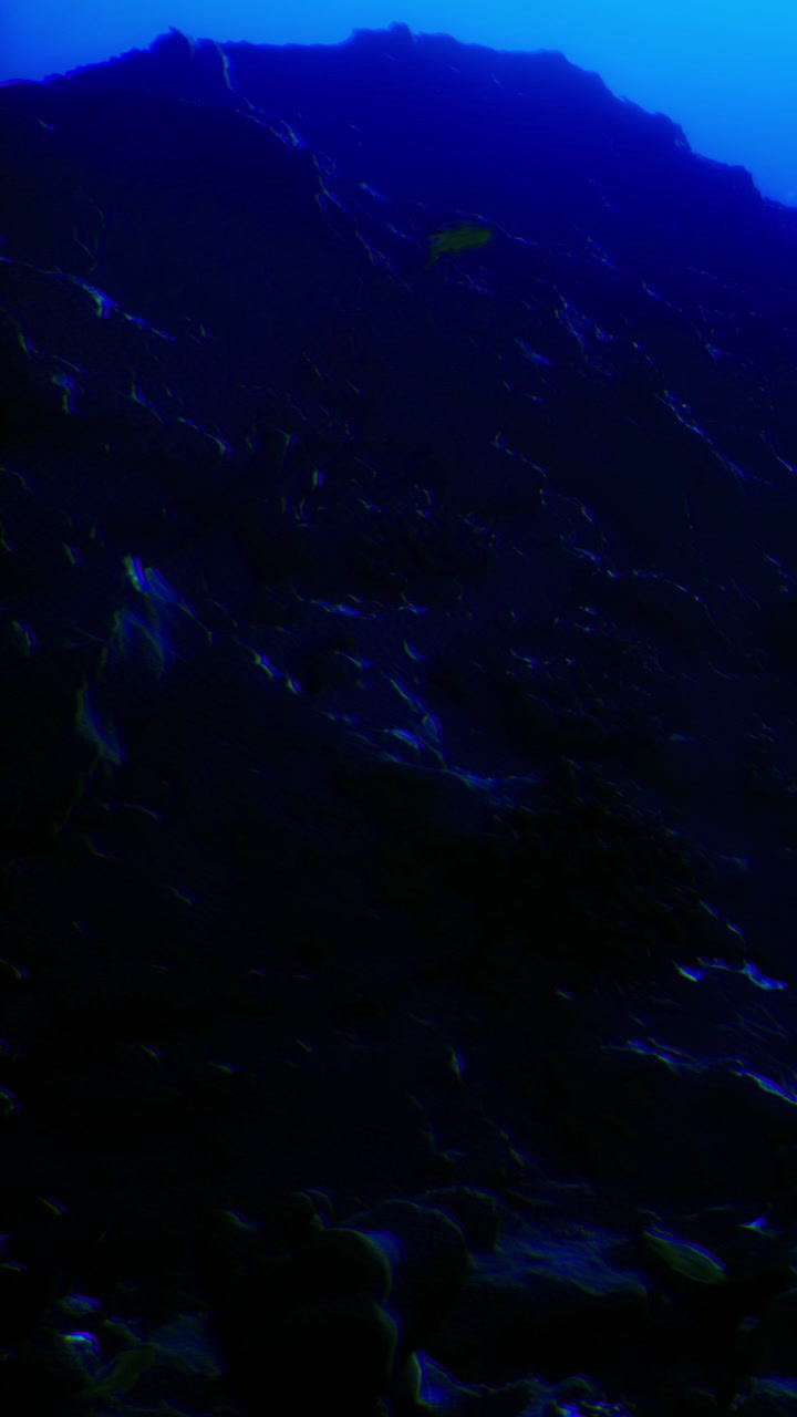 Dark ocean depths reveal stunning underwater world at twilight