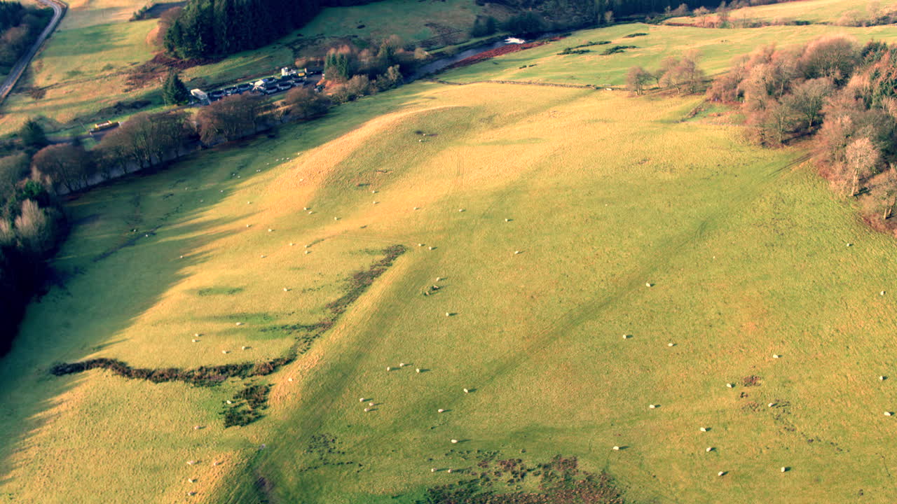Sheep grazing in a hill in the Highlands of Scotland on an autumn day