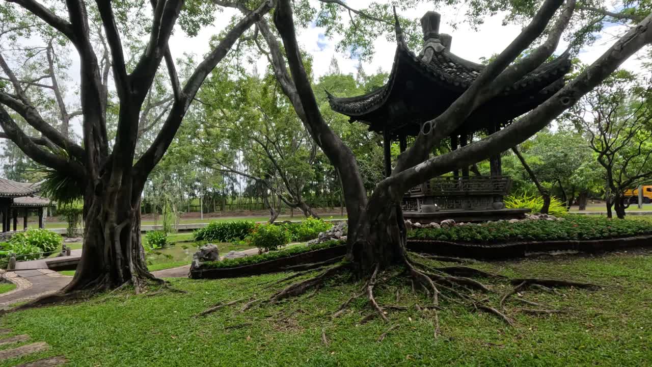 전통적인 파빌리온과 오래된 나무를 둘러싼 평화로운 산책.