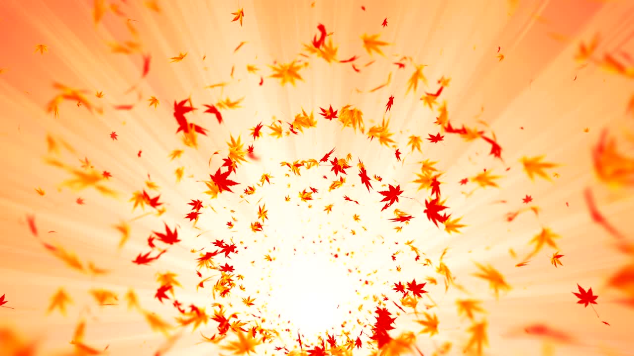 다채로운 메이플과 잎에서 나온 소용돌이, 가을 잎의 나선형 반이는 입자, 춤추는 잎, 다채로운 자연 터널 루프 애니메이션.