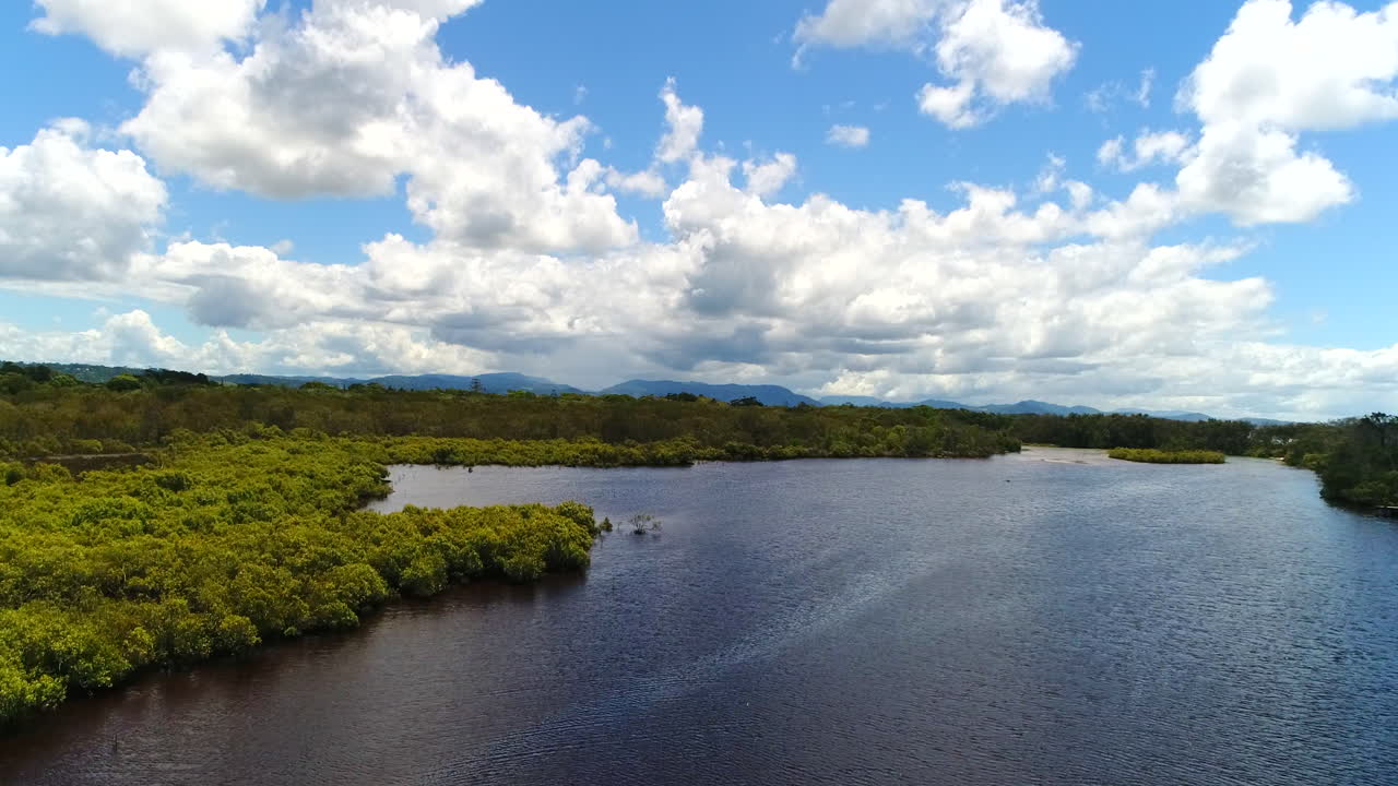 volando sobre pantanos con impresionantes vistas cinematográficas