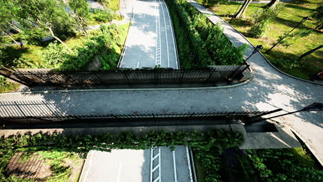 view from the height of the park with a green lawn and paths