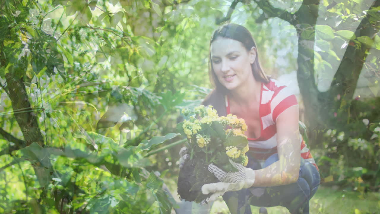 video compuesto de árboles altos contra mujer caucásica sosteniendo una maceta de plantas en el jardín