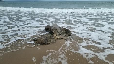 ondas de marea de espuma en movimiento lento lavando alrededor de la roca erosionada en la costa de la playa de anglesey