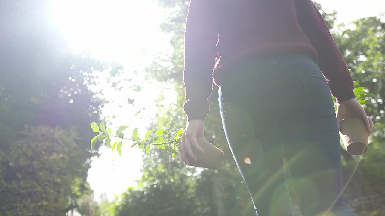 화분에 심는 원예 활동, 어린 나무 돌보기 및 일반 식물 관리