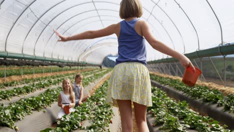 girls plucking strawberries in the farm 4k