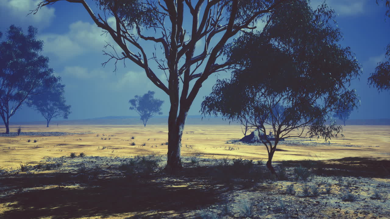 Serene landscape with dry trees and a shimmering horizon at dusk