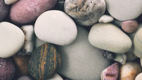 rotating pebbles and seashells background.