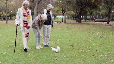 Park,-senior-friends-and-feed-squirrel