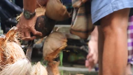 Cierre-De-La-Mano-De-Un-Trabajador-Pelando-Una-Fruta-De-Coco-Seca,-Un-Agricultor-Pelando-Un-Coco-Con-Una-Varilla-De-Hierro-Afilada,-El-Proceso-De-Producción-De-Aceite-De-Coco