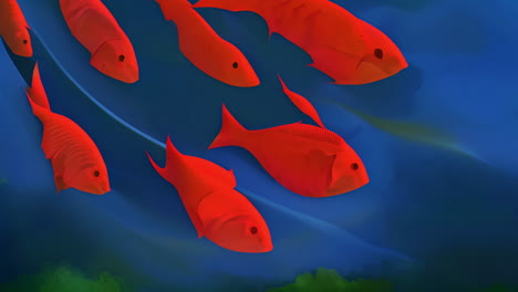 red fish swimming in blue water