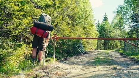 Alaskan-Malamute-Dog-And-Male-Hiker-Walking-During-Daytime-In-Indre-Fosen,-Norway---Wide-Shot