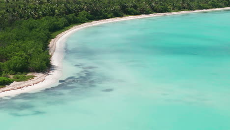 aerial shot of saona island